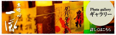 フォトギャラリー