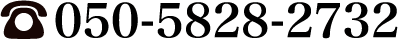 050-5828-2732