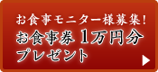 モニターキャンペーン 