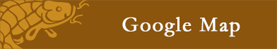 GoogleMap