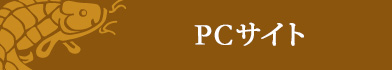 PCサイト